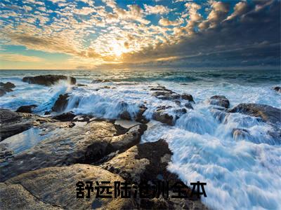 侯爷还不哄妻？夫人已经是京城首富了（侯爷还不哄妻？夫人已经是京城首富了）小说在线阅读_侯爷还不哄妻？夫人已经是京城首富了全本免费小说阅读（舒远陆沧洲）