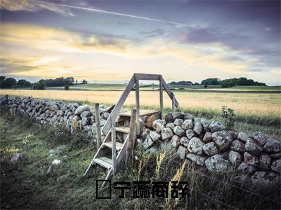 抖音热推宁蕊商辞无弹窗阅读宁蕊商辞小说免费阅读无弹窗