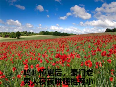 呜！怀崽后，豪门老男人夜夜哄睡（司湛寒凌清阮）全文免费阅读无弹窗大结局_司湛寒凌清阮小说免费最新章节列表_笔趣阁