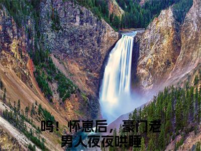 凌清阮司湛寒新书热荐免费小说呜！怀崽后，豪门老男人夜夜哄睡-小说呜！怀崽后，豪门老男人夜夜哄睡大结局