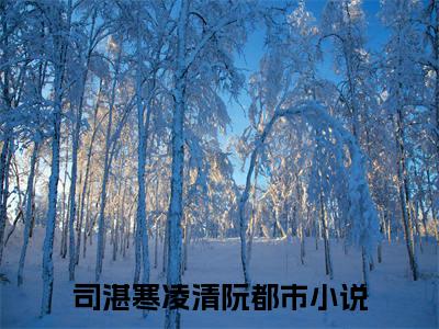 呜！怀崽后，豪门老男人夜夜哄睡（司湛寒凌清阮）最火小说全文-（司湛寒凌清阮）呜！怀崽后，豪门老男人夜夜哄睡小说完整版免费阅读