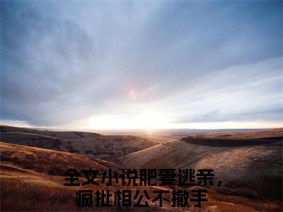 肥妻逃亲，疯批相公不撒手全文免费阅读大结局-楚夕盛凌云最新章节列表-笔趣阁