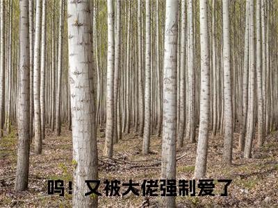 江猛胡渺渺（呜！又被大佬强制爱了）小说结局-江猛胡渺渺全文无弹窗阅读