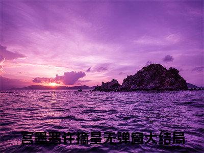 生娃这天，渣爹跟着白月光跑了小说（宫墨寒许摘星）全文免费阅读无弹窗大结局_宫墨寒许摘星最新章节列表（宫墨寒许摘星）