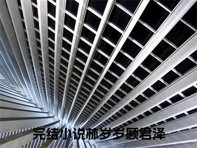 林岁岁顾君泽（林岁岁顾君泽）在哪免费看-小说(林岁岁顾君泽)全文完整版免费阅读