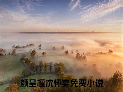 颜星檀沈怀宴精彩章节在线阅读,颜星檀沈怀宴小说全文最新章节列表