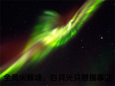 【新书】《江嫣》全文免费阅读无弹窗大结局-全员火葬场，白月光只想搞事业全文全章节免费阅读