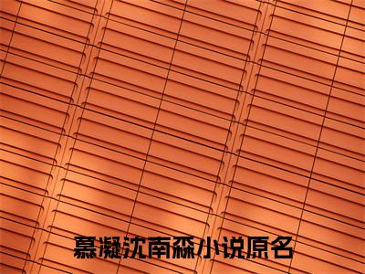 慕凝沈南森（慕凝沈南森免费小说）全文免费阅读无弹窗大结局_慕凝沈南森最新章节列表_笔趣阁（慕凝沈南森小说）