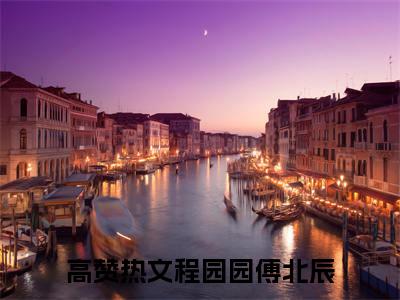 程园园傅北辰精选好书-程园园傅北辰无删减小说在线阅读（程园园傅北辰全文免费阅读）