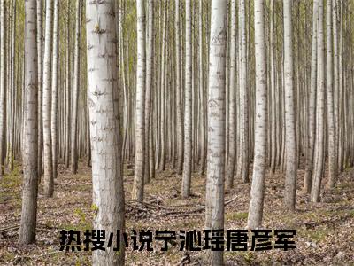 宁沁瑶唐彦军最火热点小说最新更新-宁沁瑶唐彦军全文免费无弹窗