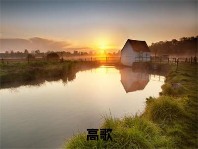 高歌小说在线阅读（末日降临，我有亿点点能打）全文免费阅读无弹窗大结局