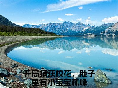 林峰（开局捕获校花，肚子里有小宝宝）全文无弹窗阅读-精彩小说开局捕获校花，肚子里有小宝宝（林峰）