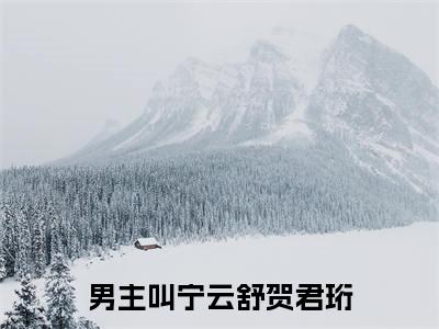 宁云舒贺君珩免费阅读(宁云舒贺君珩)小说全文免费阅读无弹窗大结局_(宁云舒贺君珩)最新章节列表_笔趣阁(宁云舒贺君珩)