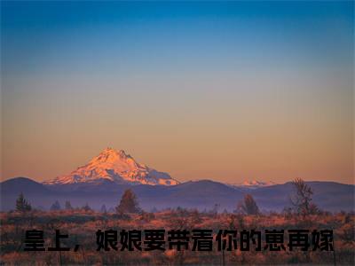 赵连娍李行驭(皇上，娘娘要带着你的崽再嫁)全文免费阅读无弹窗大结局_（皇上，娘娘要带着你的崽再嫁）的小说（赵连娍李行驭）最新章节列表