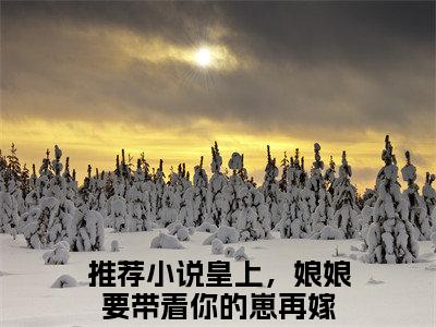 皇上，娘娘要带着你的崽再嫁全集章节小说免费阅读完整版（赵连娍李行驭）-赵连娍李行驭小说免费阅读