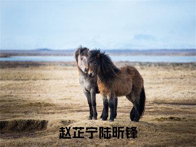 赵芷宁陆昕锋小说（赵芷宁陆昕锋）免费阅读全文无弹窗大结局_赵芷宁陆昕锋免费阅读无弹窗小说_小说笔趣阁