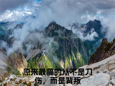 原来最痛的从不是刀伤，而是背叛（沈离浅萧时樾）全文免费阅读无弹窗大结局_原来最痛的从不是刀伤，而是背叛全文免费完结版阅读（沈离浅萧时樾）