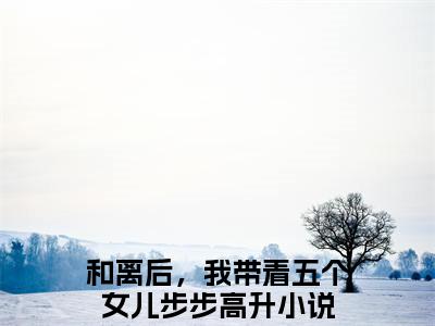 和离后，我带着五个女儿步步高升小说（林好好）全文免费读无弹窗大结局_（林好好小说免费和离后，我带着五个女儿步步高升阅读）