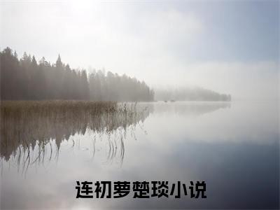 连初萝楚琰小说全文免费阅读无弹窗-连初萝楚琰全章节阅读