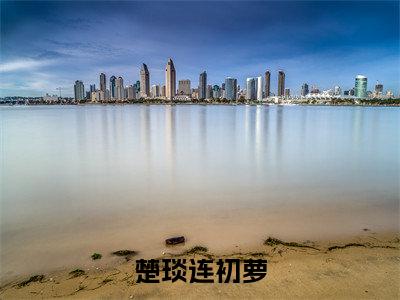 楚琰连初萝小说最后结局(楚琰连初萝)完结版免费阅读