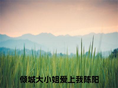 倾城大小姐爱上我陈阳的小说全文免费阅读无弹窗,倾城大小姐爱上我陈阳的小说在线免费阅读大结局