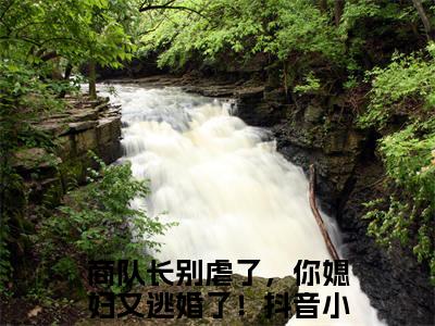 秦悦雅商励(商队长别虐了，你媳妇又逃婚了！)小说精彩免费内容_秦悦雅商励（商队长别虐了，你媳妇又逃婚了！）最新章节全文阅读大结局