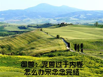 主角是御兽：宠兽过于内卷怎么办宋念念的小说-精选热门小说（御兽：宠兽过于内卷怎么办宋念念）