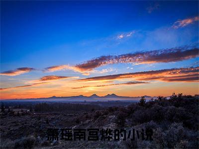 箫瑶南宫烨小说全文（箫瑶南宫烨）-箫瑶南宫烨免费阅读目录