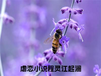 程灵江起澜小说精彩章节-主角为程灵江起澜在线阅读
