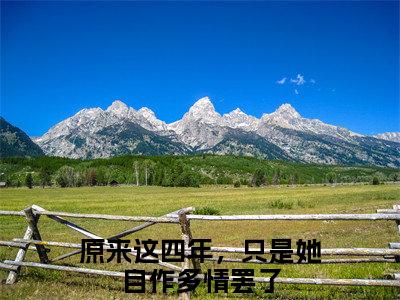 （原来这四年，只是她自作多情罢了）是什么小说-叶炎柒萧司煜（原来这四年，只是她自作多情罢了）免费阅读大结局最新章节列表_笔趣阁
