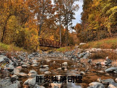 原来这四年，只是她自作多情罢了（叶炎柒萧司煜）小说全文无删减版完整版_ 原来这四年，只是她自作多情罢了最新章节列表_笔趣阁