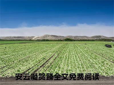 安云凝贺臻小说免费阅读无弹窗,小说名字是：安云凝贺臻的小说在线阅读无删减