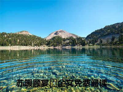 苏暖顾宴璟(苏暖顾宴璟）小说全文免费阅读无弹窗大结局_（苏暖顾宴璟）小说全文免费阅读最新章节列表笔趣阁