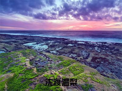 沈渡温梨小说免费大结局全集免费阅读 沈渡温梨章节目录