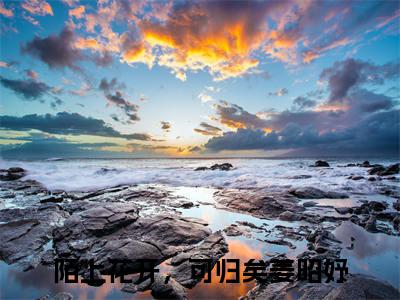 陌上花开，可归矣姜昭妤（陌上花开，可归矣姜昭妤）小说-陌上花开，可归矣姜昭妤最新章节免费阅读