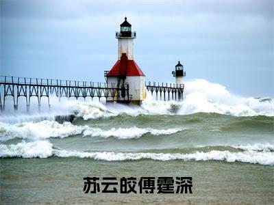 豪门没有爱情，本宫不当花瓶（苏云皎傅霆深）免费小说-苏云皎傅霆深全文阅读目录