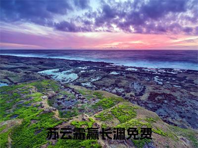 苏云霜赢长渊小说免费阅读(苏云霜赢长渊)全文免费阅读无弹窗大结局_ 苏云霜赢长渊最新章节列表_笔趣阁（苏云霜赢长渊小说）
