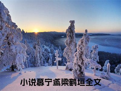 慕宁鸢梁鹤垣小说全文免费阅读，慕宁鸢梁鹤垣最新章节