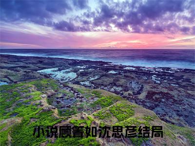 主人公叫顾箐如沈思彦的小说顾箐如沈思彦哪里免费看