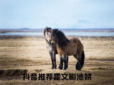霍文彬池娆（霍文彬池娆）小说在线阅读_霍文彬池娆全本免费小说阅读（豪门太太操劳而死，重生后摆烂了）
