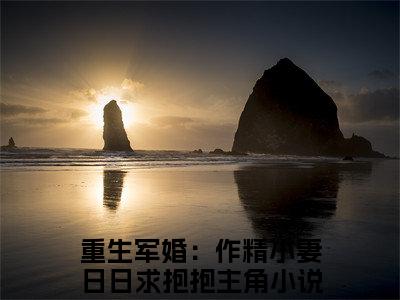 顾睿渊温瓷小说最新试读_重生军婚：作精小妻日日求抱抱小说名是（顾睿渊温瓷）_笔趣阁