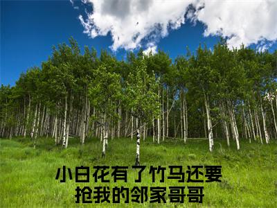 小白花有了竹马还要抢我的邻家哥哥小说免费阅读 向晚意贺言峥全文无弹窗试读