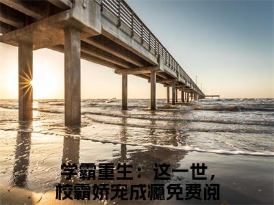 程野颜早早小说（学霸重生：这一世，校霸娇宠成瘾）全文免费阅读无弹窗大结局_学霸重生：这一世，校霸娇宠成瘾小说最新章节列表_笔趣阁（学霸重生：这一世，校霸娇宠成瘾）