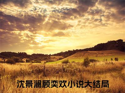 沈景澜顾奕欢免费阅读全文免费阅读无弹窗大结局_ (沈景澜顾奕欢小说免费阅读)沈景澜顾奕欢最新章节阅读