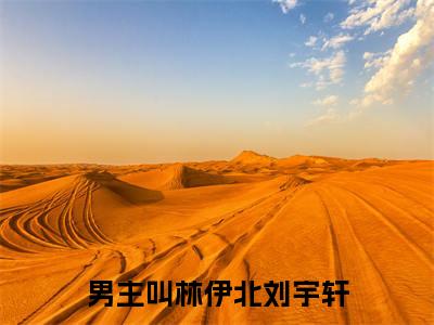 小说完整版阅读-林伊北刘宇轩美文欣赏