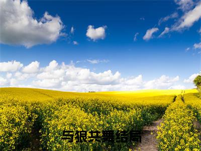 【新书】《与狼共舞》冯卿卿沈燮全文全章节免费阅读