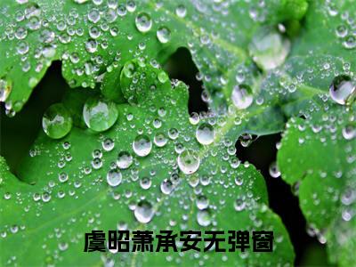 虞昭萧承安全网首发完整小说主角虞昭萧承安在线阅读
