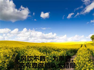 风政屿安予念(风吹不散：为乖妻，四爷卑微低头)小说全文免费阅读-风政屿安予念（风吹不散：为乖妻，四爷卑微低头）免费在线阅读完整版