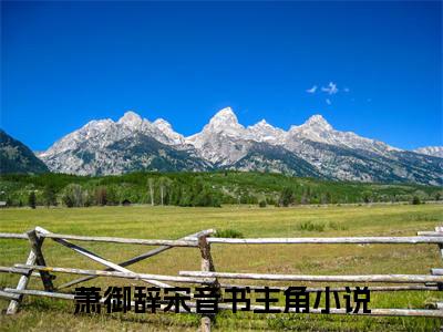 萧御辞宋音书新书热荐免费小说全文完整版-小说精选片段阅读