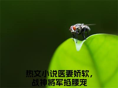 林清歌楚南枫全文免费阅读无弹窗大结局_（林清歌楚南枫阅读无弹窗）医妻娇软，战神将军掐腰宠最新章节列表_笔趣阁（医妻娇软，战神将军掐腰宠）